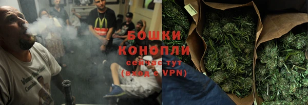 PSILOCYBIN Бронницы