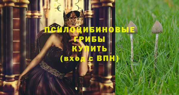 ALPHA-PVP Бугульма