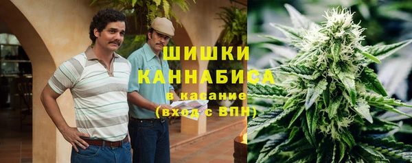PSILOCYBIN Бронницы