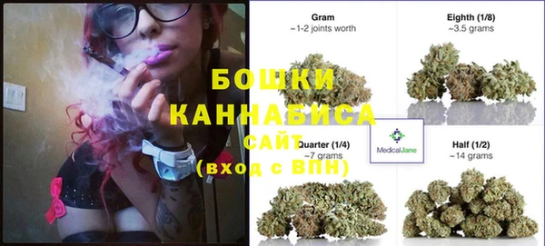 PSILOCYBIN Бронницы