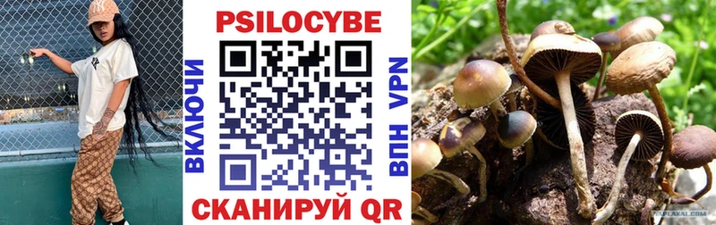 Галлюциногенные грибы мухоморы  Новосокольники 